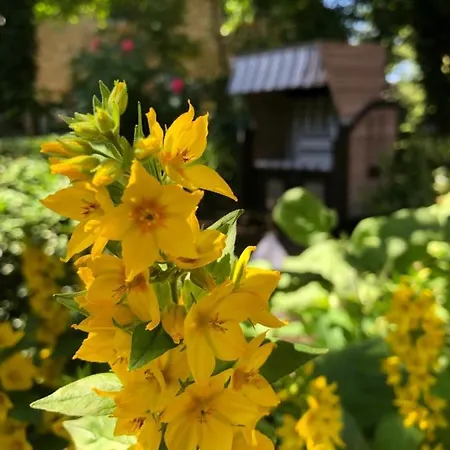 Apartmán Haus Friesenjungs *